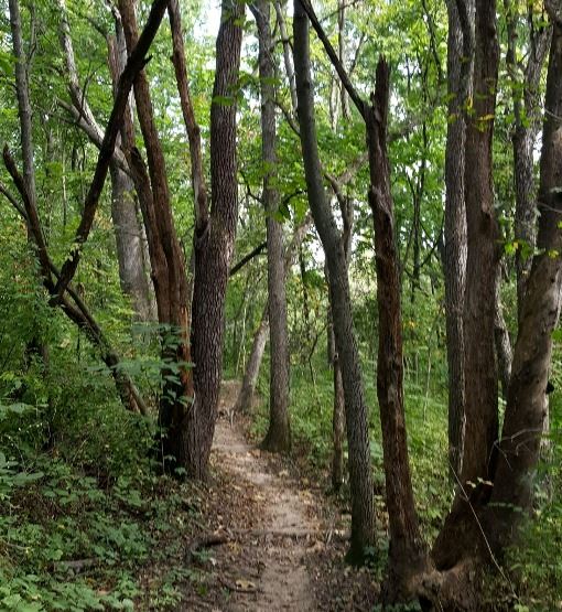 Stocksdale Park Trail