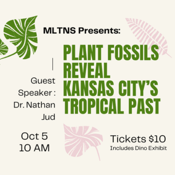 Plant Fossils Reveal Kansas City's Tropical Past