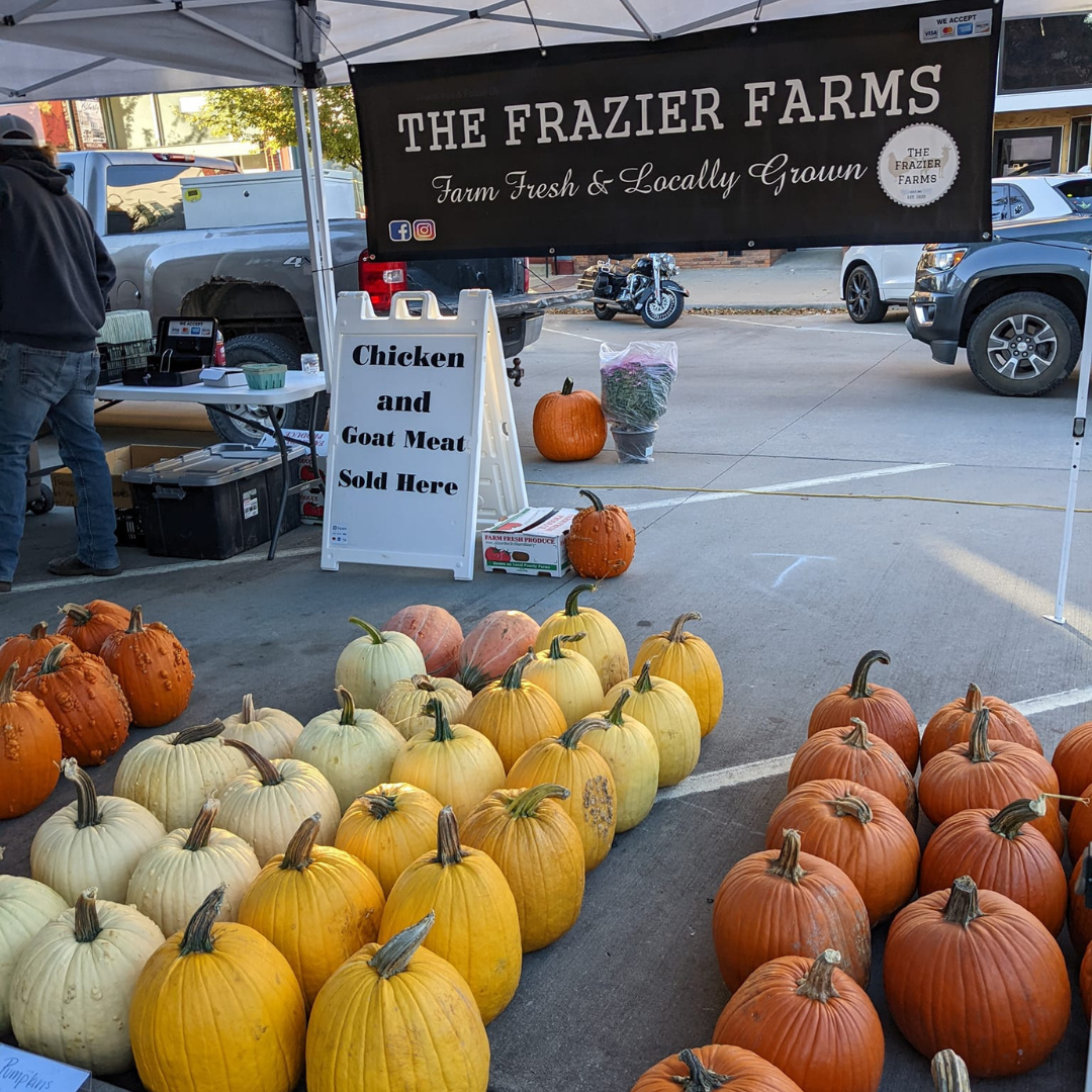HDLI Pumpkin Festival