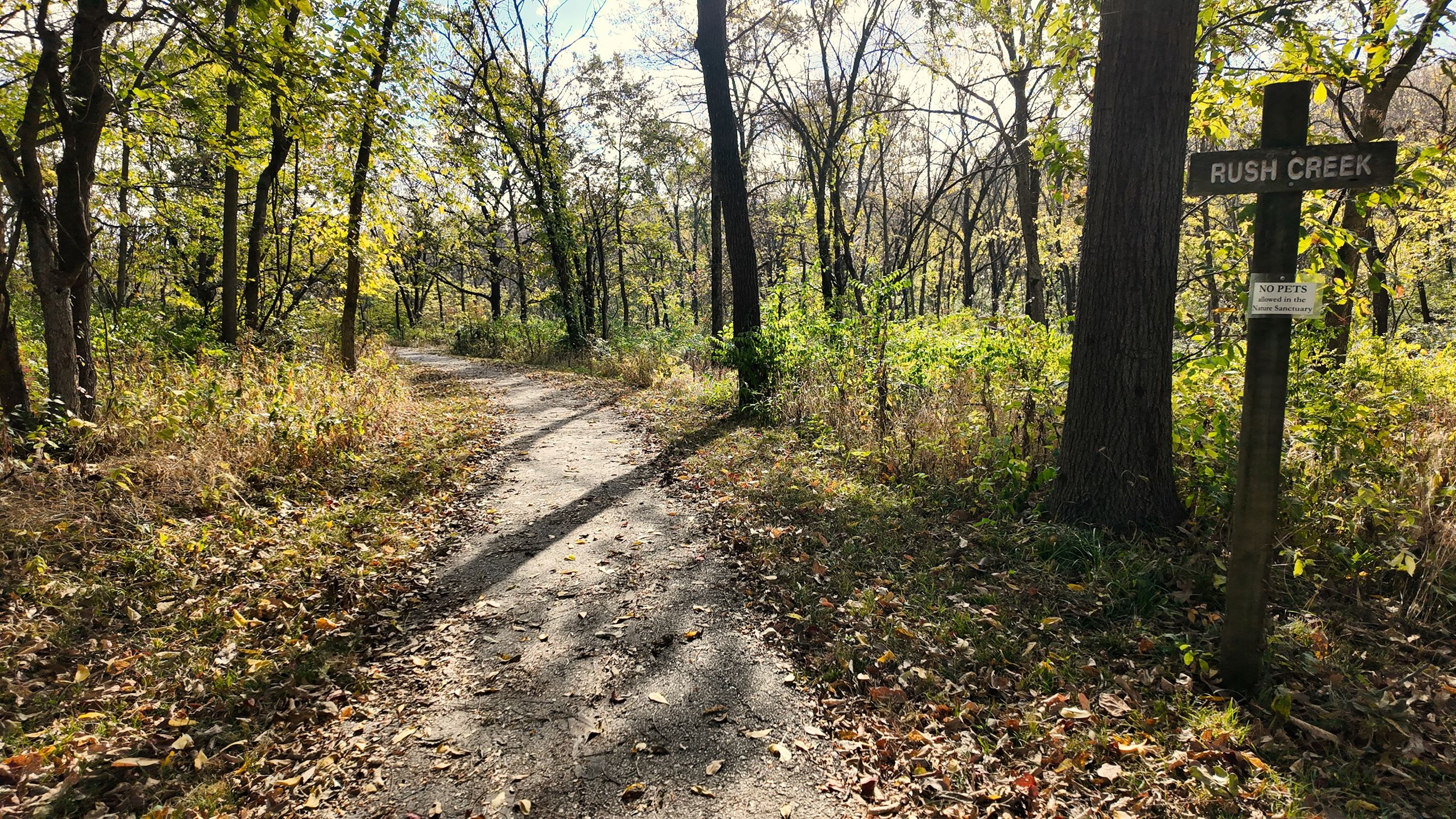 Martha Lafite Thompson Nature Sanctuary (5)